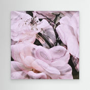 White Roses Canvas Print by Eppla