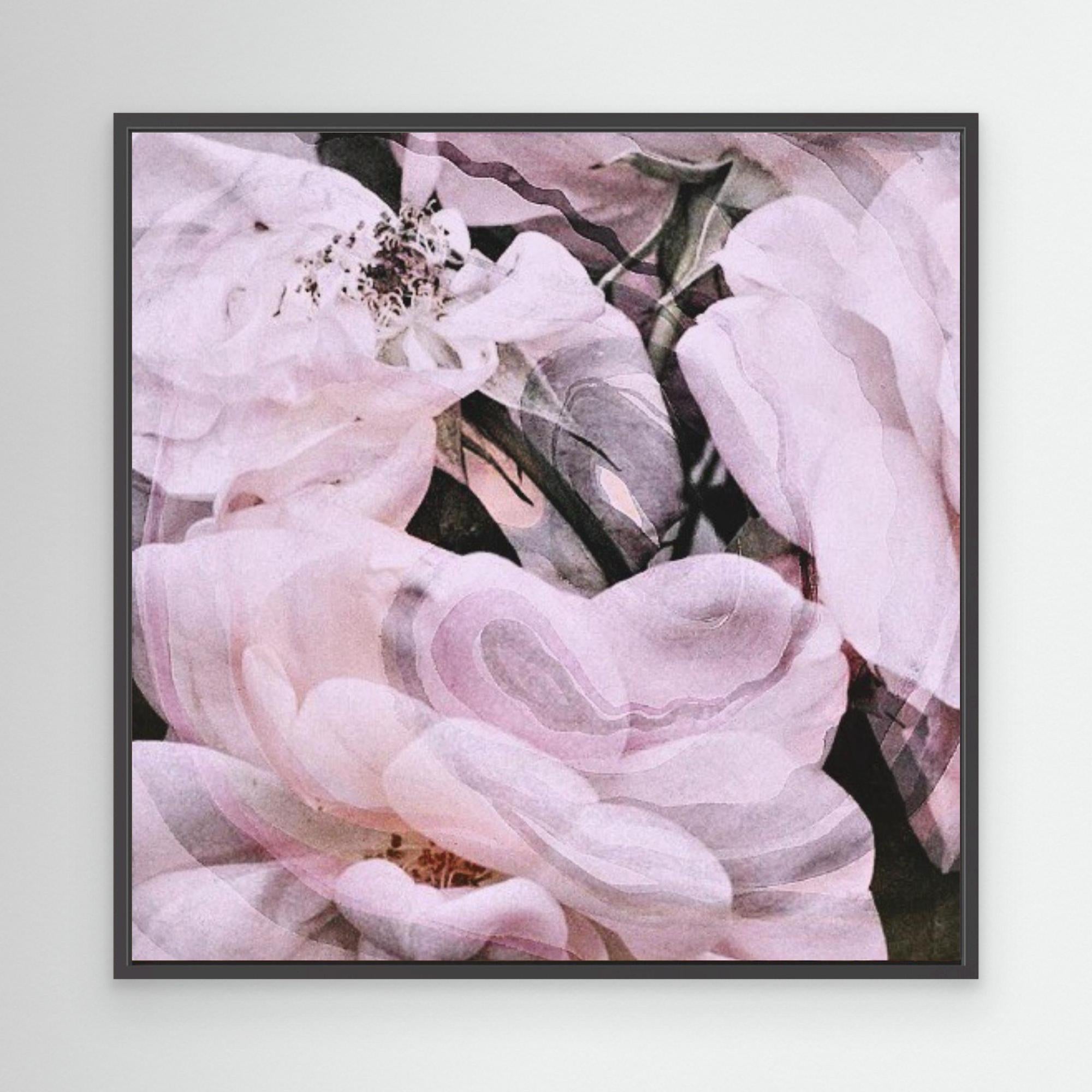 White Roses Canvas Print by Eppla