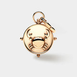Leo Double-Sided Charm