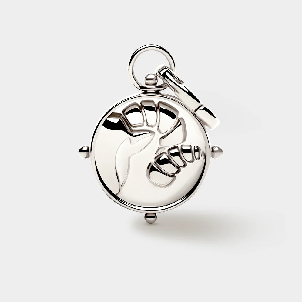 Coluri Aries Double-Sided Charm – view 2