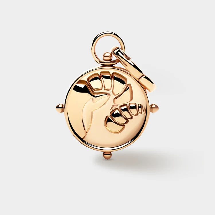 Coluri Aries Double-Sided Charm