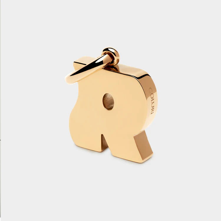 Coluri Letter R Charm