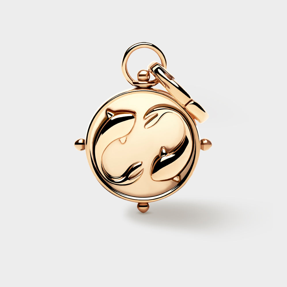 Coluri Pisces double-sided zodiac charm in gold