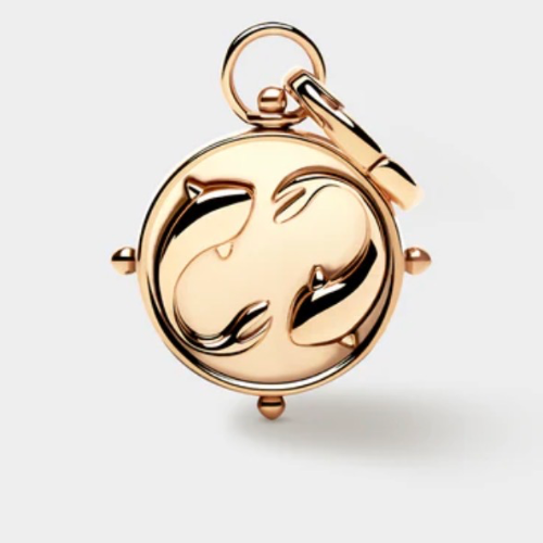 Coluri Pisces Double-Sided Charm