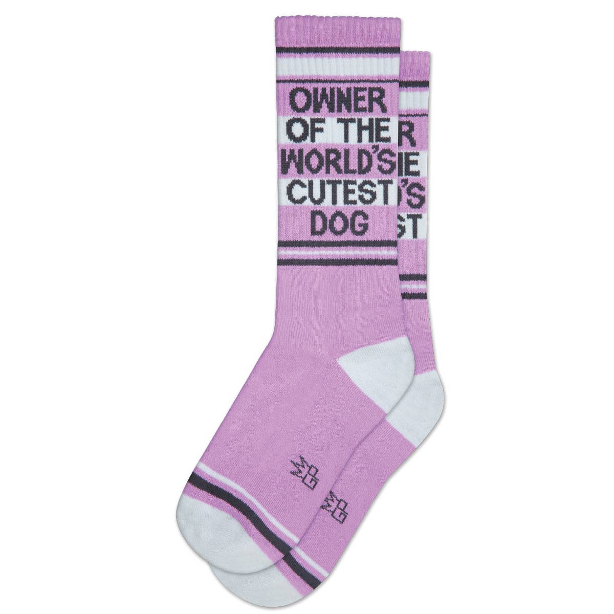 Gumball Poodle Owner Of The World's Cutest Dog Gym Crew Socks