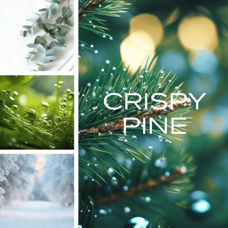 Experience the enchanting scent of Crispy Pine candle adding a touch of winter charm and natural elegance to your home.